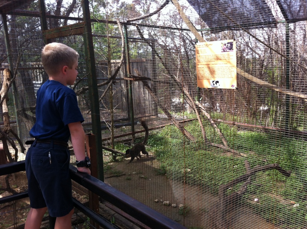 2012/04(April)/Austin Zoo with Ian/1024x768_2012-04-09-05-Austin Zoo with Ian.jpg